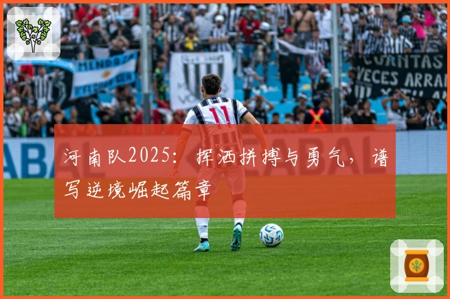 河南队2025：挥洒拼搏与勇气，谱写逆境崛起篇章