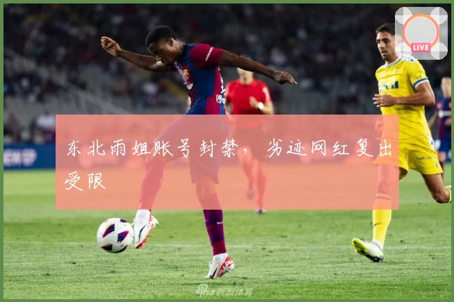 东北雨姐账号封禁，劣迹网红复出受限